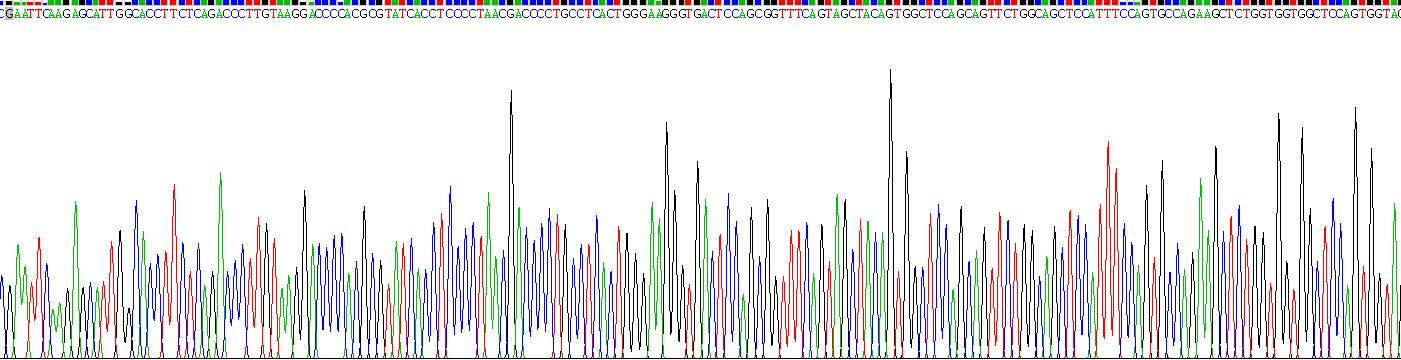 Recombinant Corneodesmosin (CDSN)