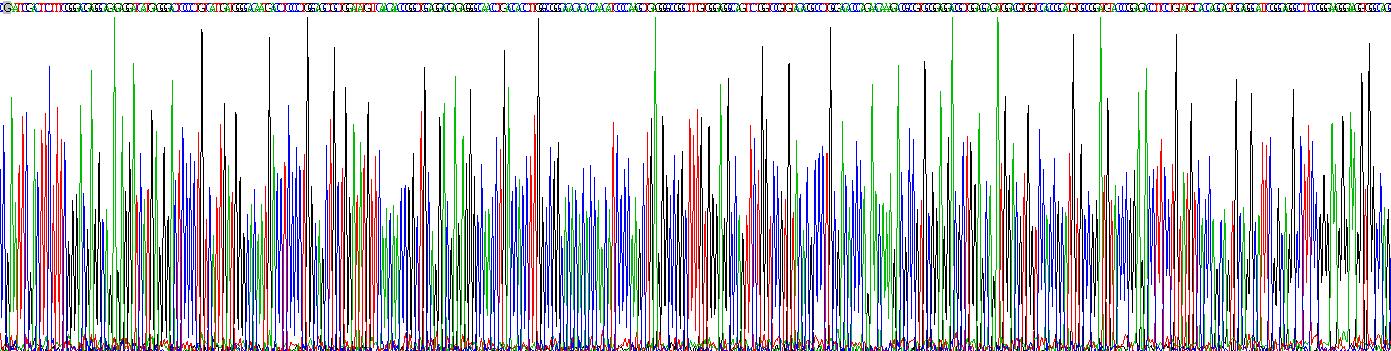 Recombinant Dipeptidase 1, Renal (DPEP1)