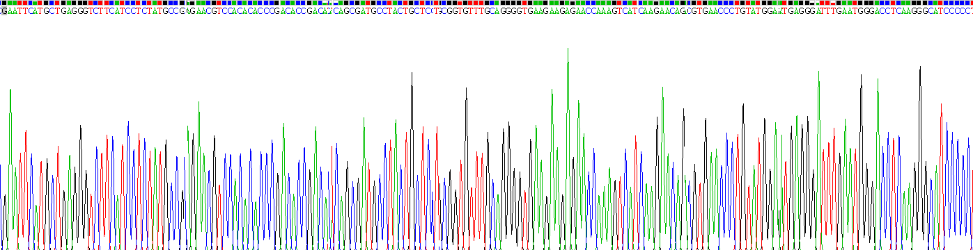 Recombinant Dysferlin (DYSF)