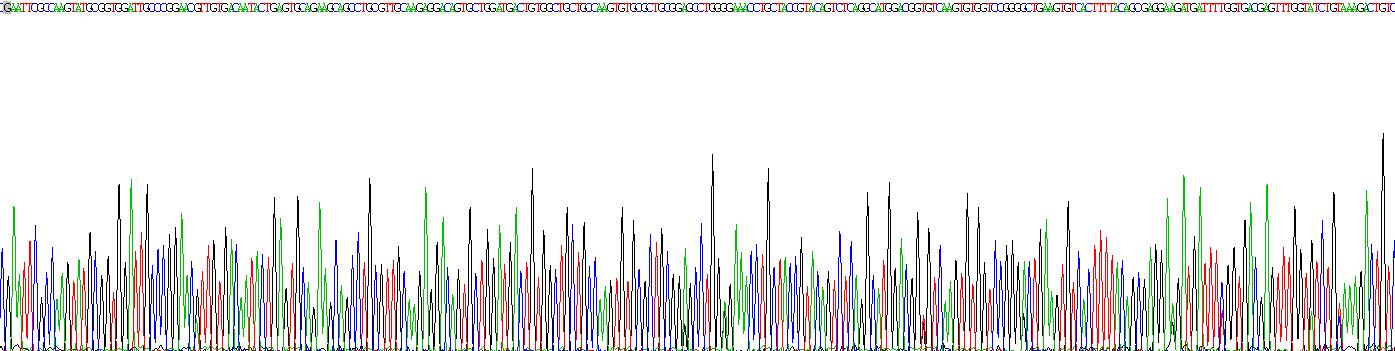 Recombinant Endothelial Cell Specific Molecule 1 (ESM1)