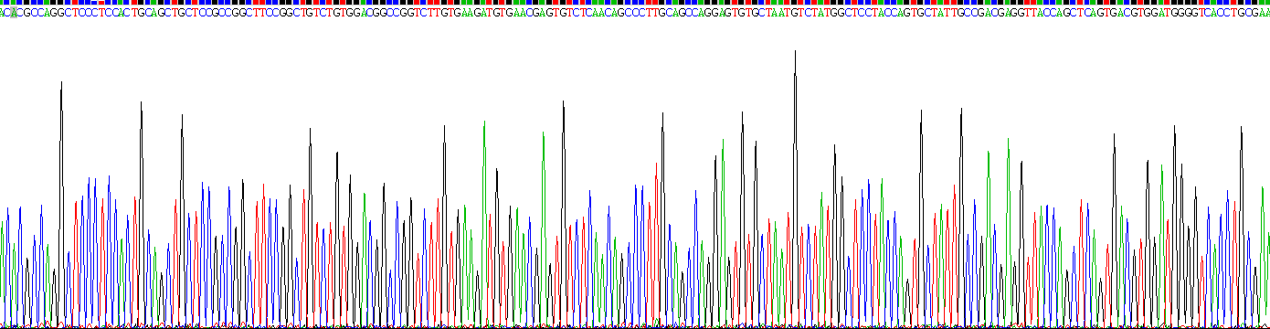 Recombinant Fibulin 1 (FBLN1)