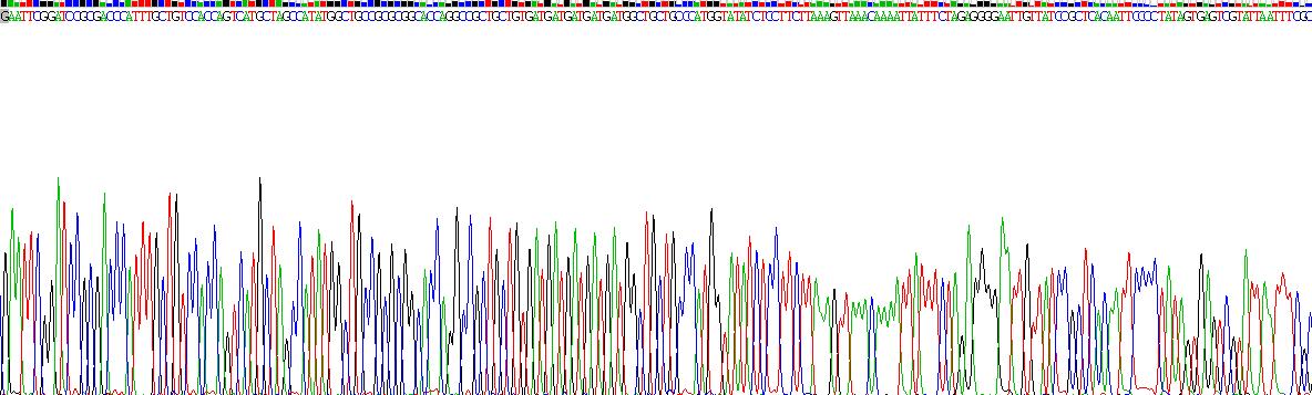 Recombinant Glucagon Receptor (GCGR)