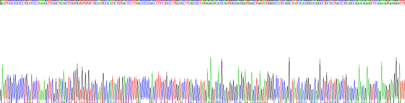 Recombinant Glucocerebrosidase (GBA)