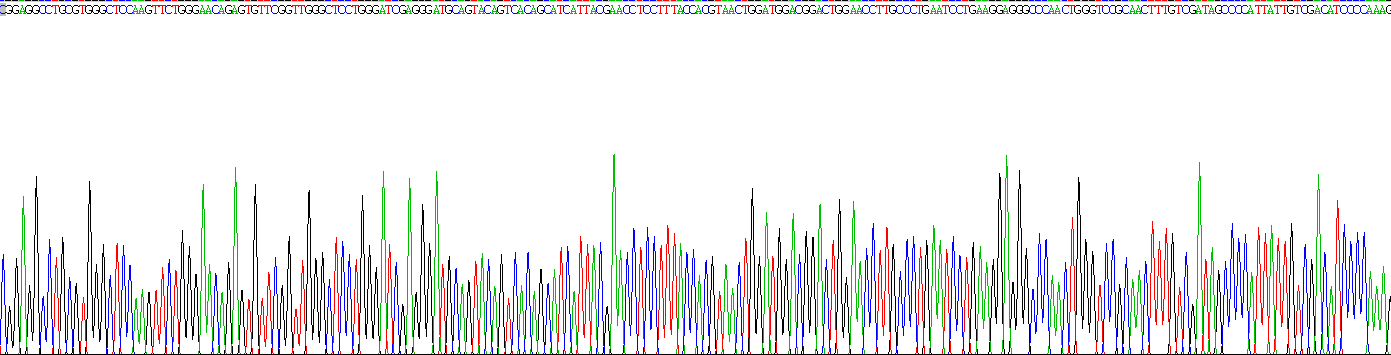 Recombinant Glucocerebrosidase (GBA)