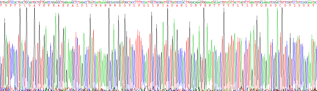 Recombinant Histidine Rich Glycoprotein (HRG)