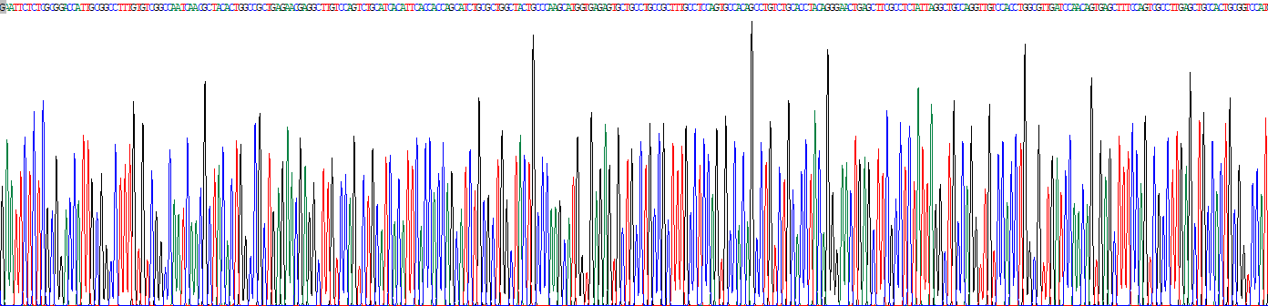 Recombinant Luteinizing Hormone Beta Polypeptide (LHb)