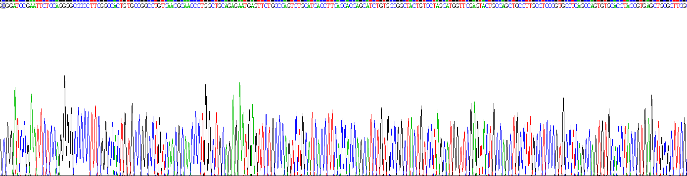 Recombinant Luteinizing Hormone Beta Polypeptide (LHb)