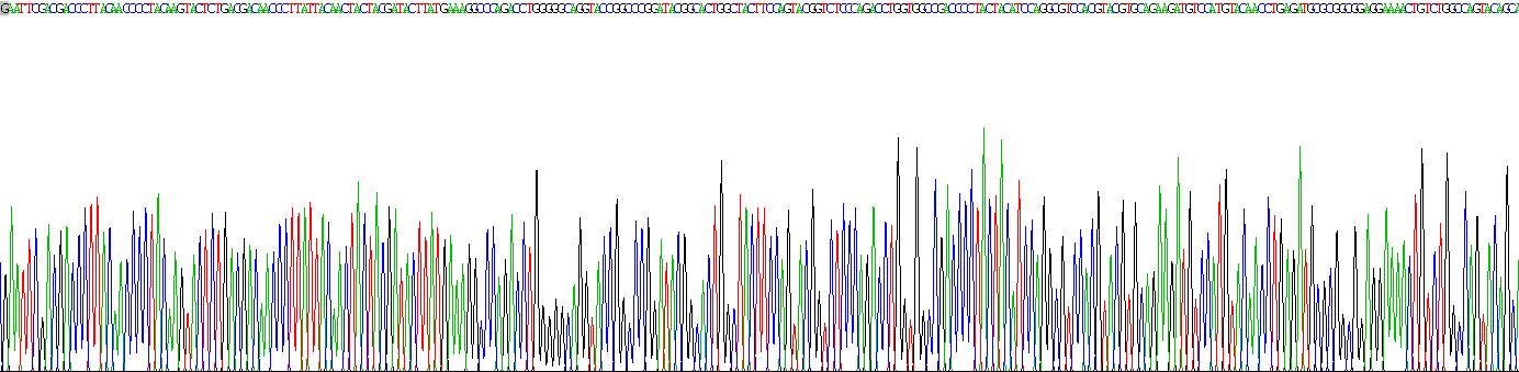Recombinant Lysyl Oxidase (LOX)