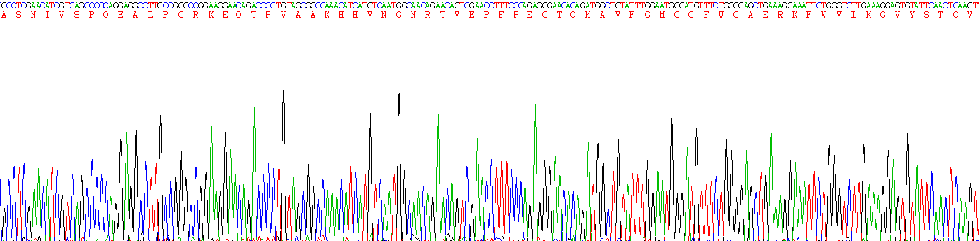 Recombinant Methionine Sulfoxide Reductase A (MSRA)