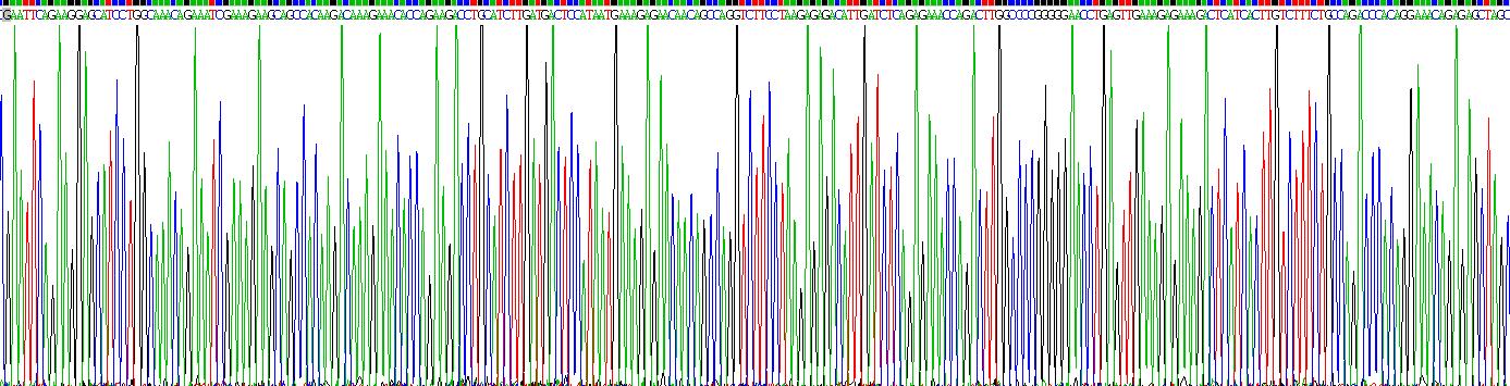 Recombinant Organic Solute Transporter Beta (OSTb)