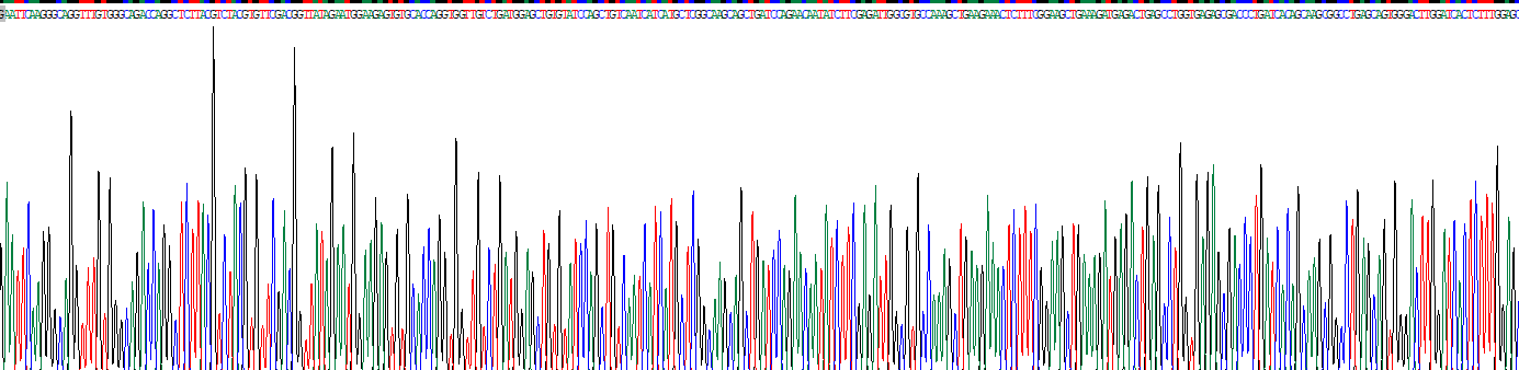 Recombinant Anoctamin 2 (ANO2)
