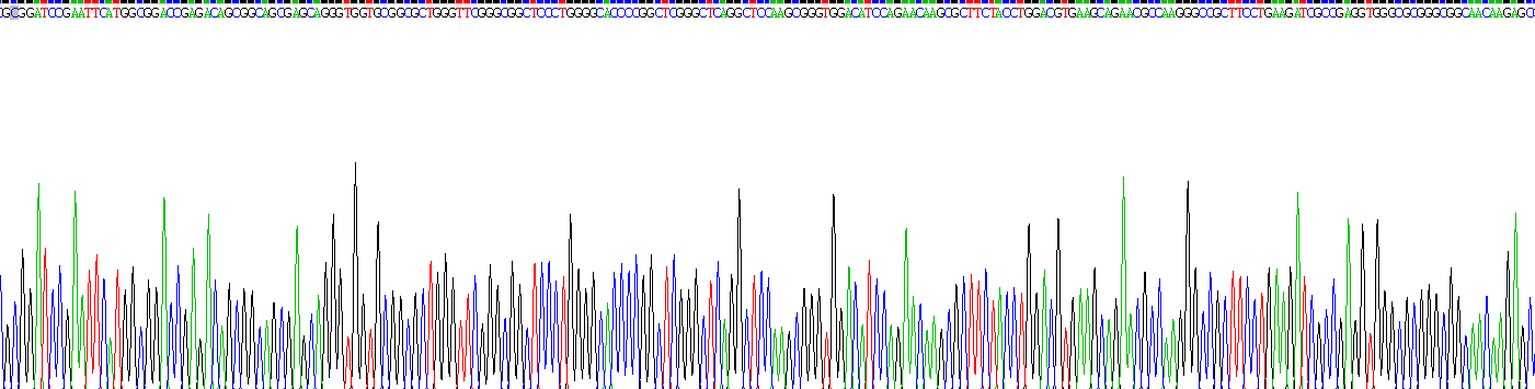 Recombinant Purine Rich Element Binding Protein A (PURA)