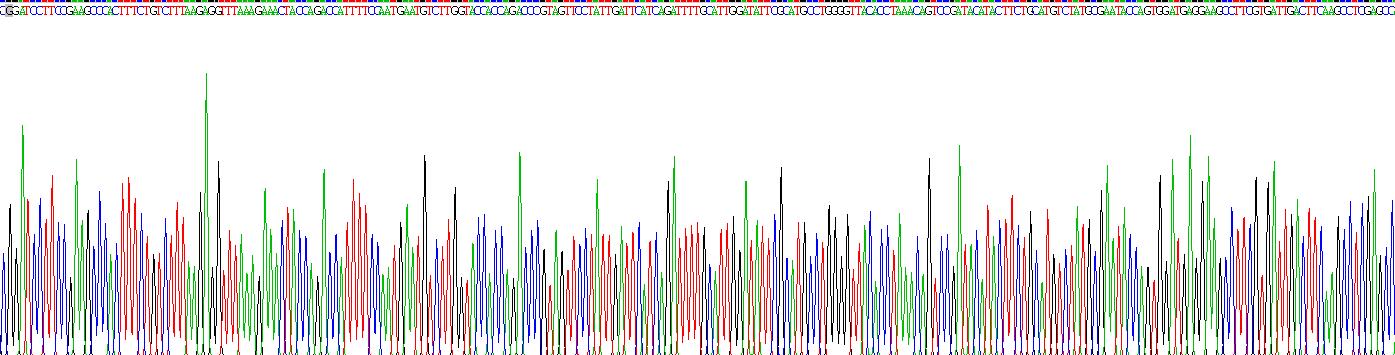 Recombinant Peptidylglycine Alpha Amidating Monooxygenase (PAM)