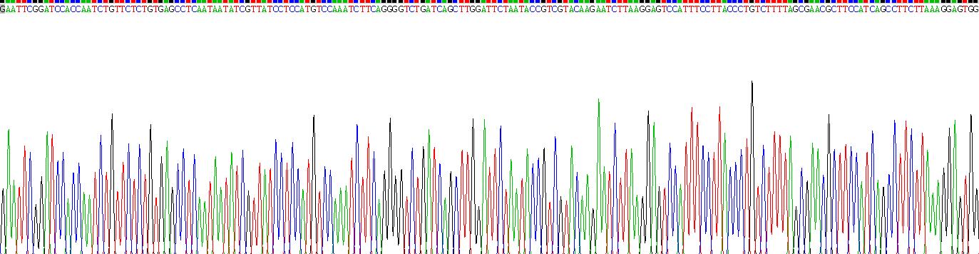 Recombinant Peripheral Myelin Protein 22 (PMP22)