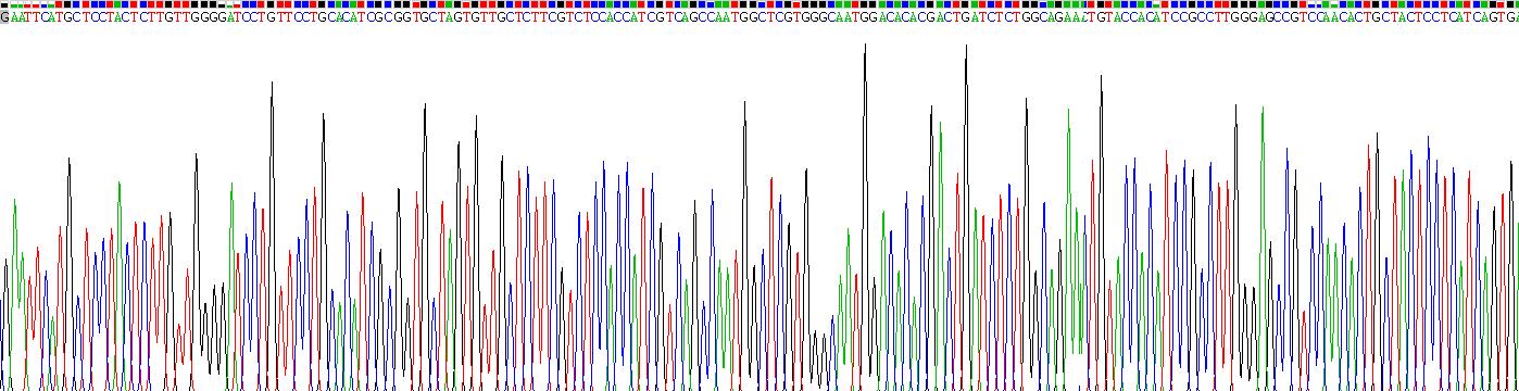 Recombinant Peripheral Myelin Protein 22 (PMP22)