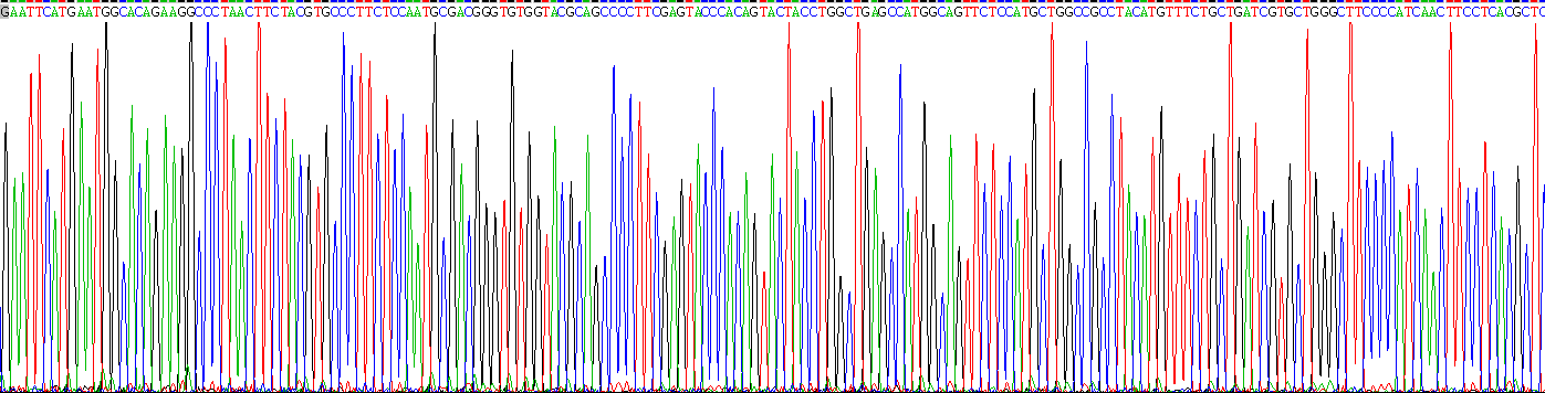 Recombinant Rhodopsin (RHO)