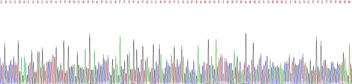 Recombinant Tyrosine Kinase, Non Receptor 2 (TNK2)