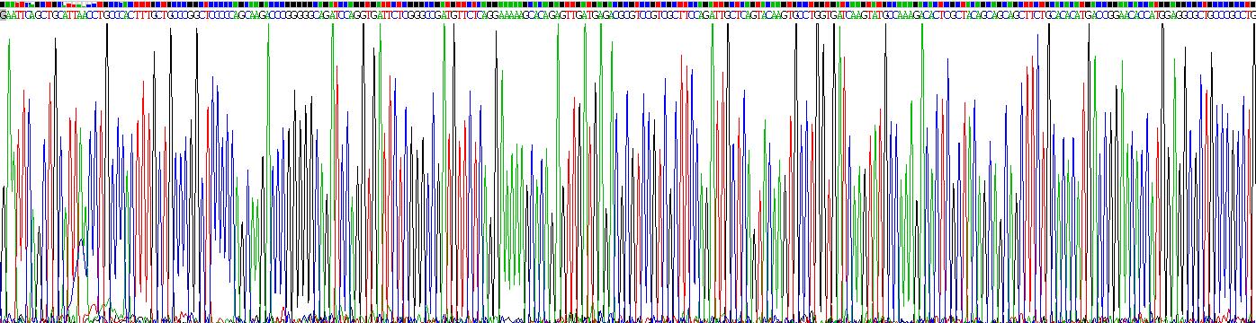 Recombinant Thymidine Kinase 1, Soluble (TK1)