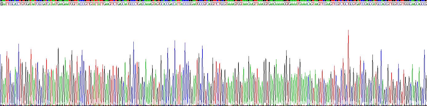 Recombinant Chromogranin B (CHGB)