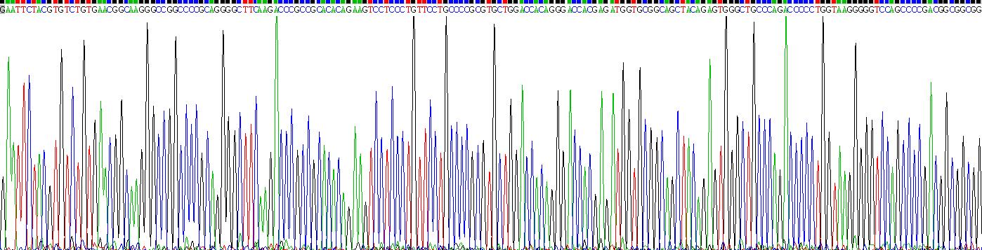 Recombinant Fibroblast Growth Factor 3 (FGF3)