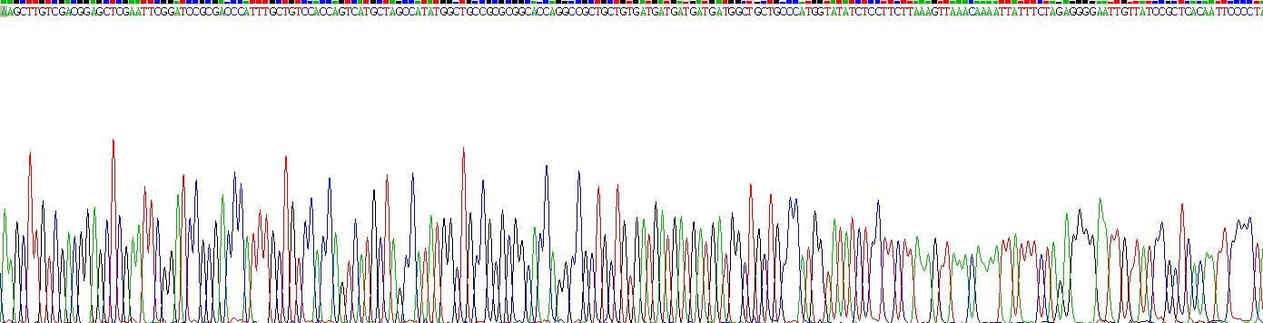 Recombinant Fibroblast Growth Factor 18 (FGF18)