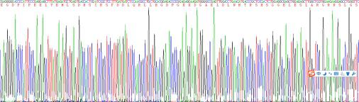 Recombinant Platelet Derived Growth Factor Subunit B (PDGFB)