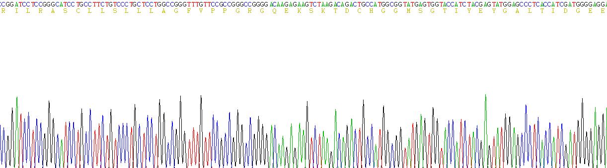 Recombinant Glutathione Peroxidase 3, Plasma (GPX3)