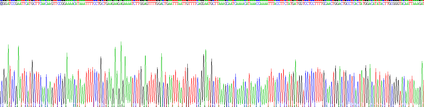 Recombinant Isoleucyl tRNA Synthetase (IARS)