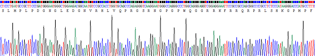 Recombinant Apelin (APLN)