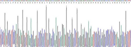 Recombinant Apelin (APLN)