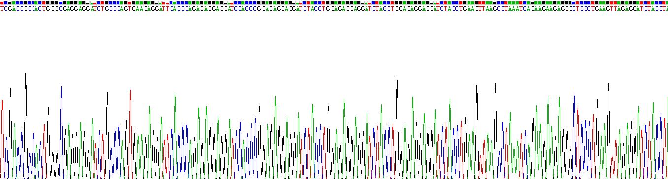 Recombinant Carbonic Anhydrase IX (CA9)