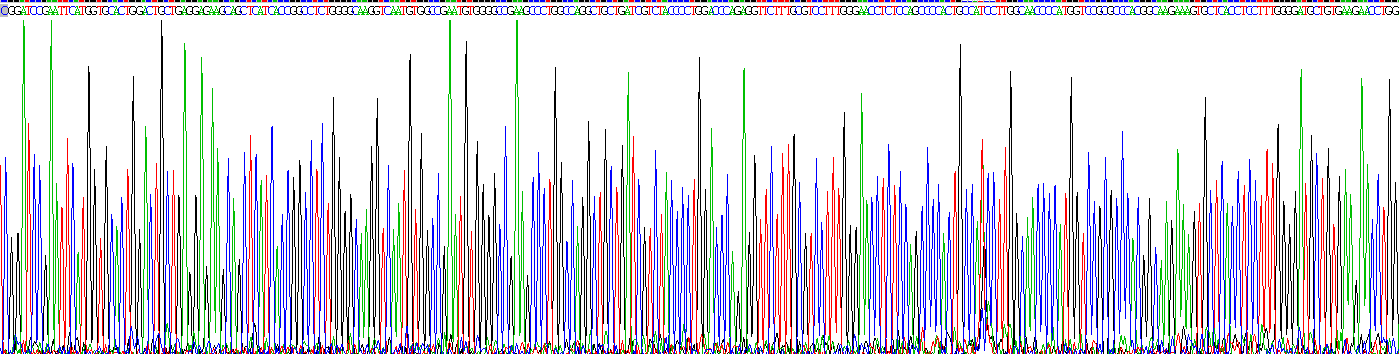 Recombinant Hemoglobin Beta (HBb)