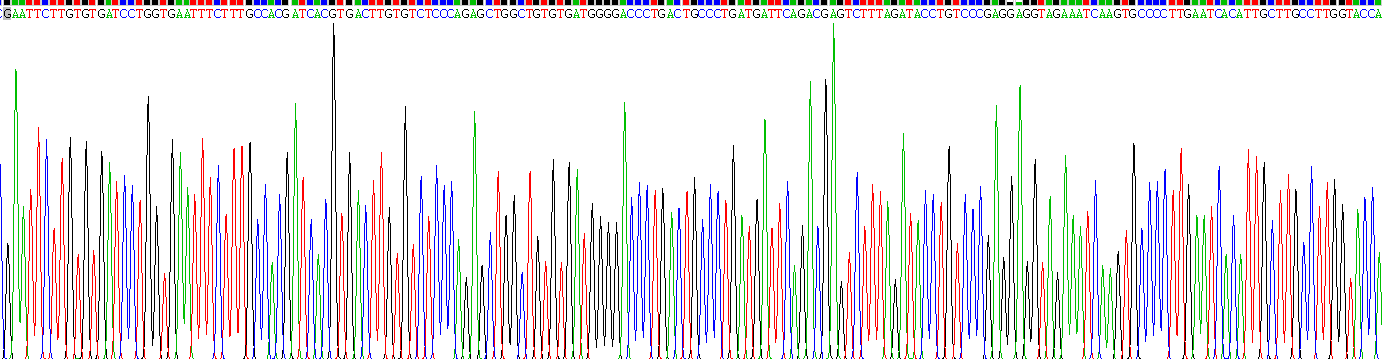 Recombinant Low Density Lipoprotein Receptor Related Protein 1B (LRP1B)