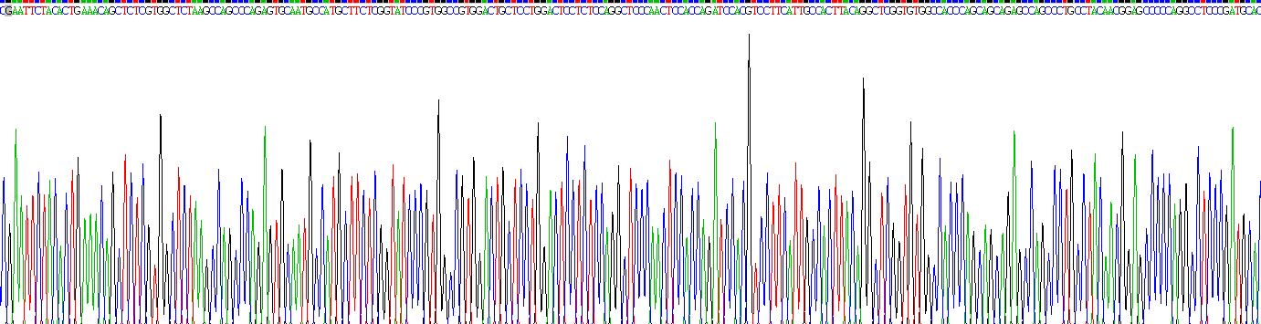 Recombinant Epstein Barr Virus Induced Protein 3 (EBI3)