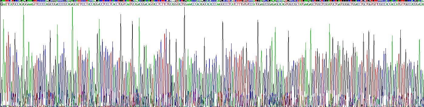 Recombinant Lipase, Monoacylglycerol (MGL)