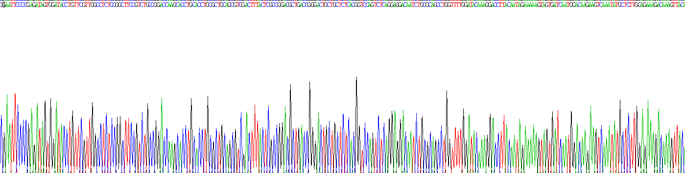 Recombinant Leukotriene A4 Hydrolase (LTA4H)