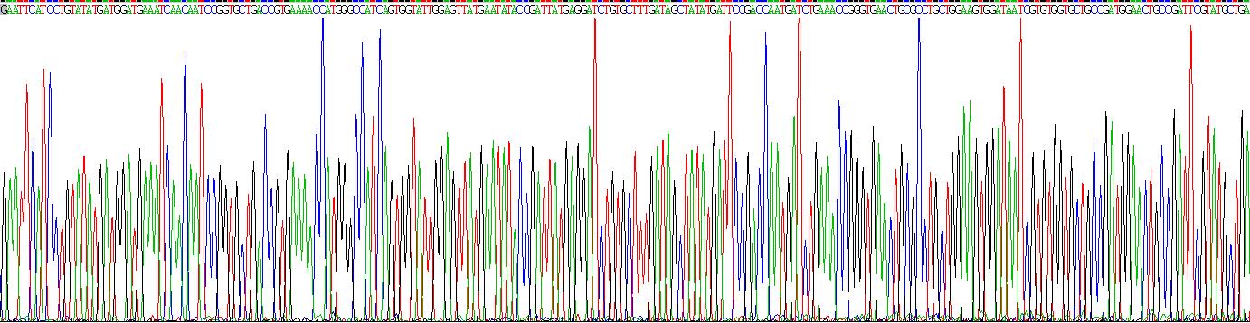 Recombinant Cytochrome C Oxidase Subunit II (COX2)