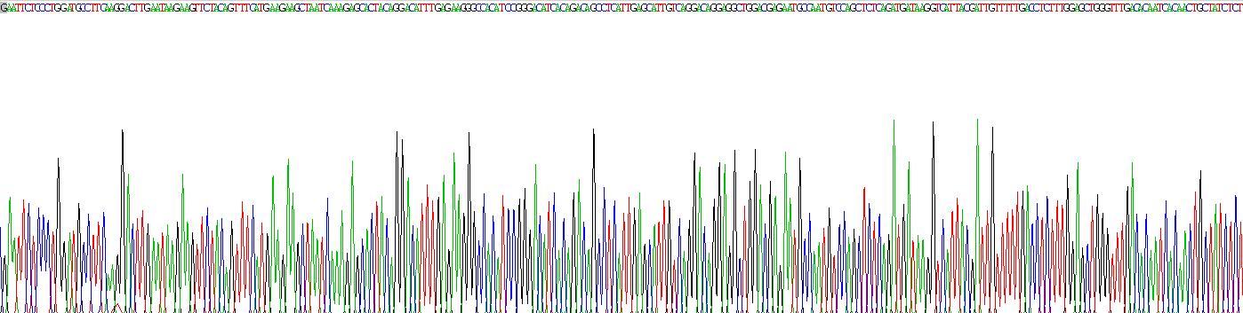 Recombinant Cytochrome P450 1A1 (CYP1A1)