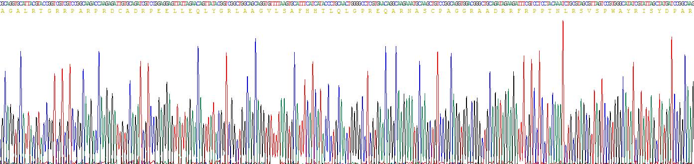 Recombinant Interleukin 17D (IL17D)