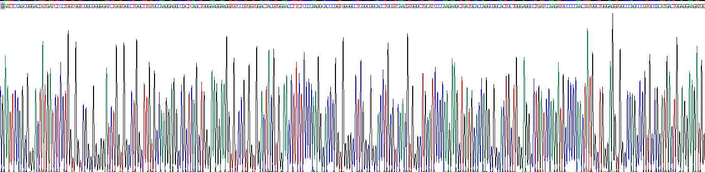 Recombinant Thioredoxin Reductase 2 (TrxR2)