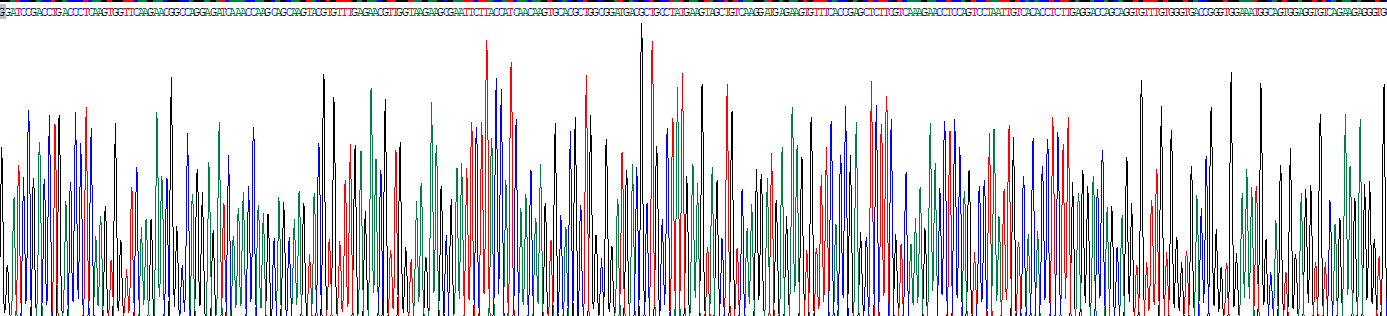 Recombinant Myosin Binding Protein C, Fast Type (MYBPC2)