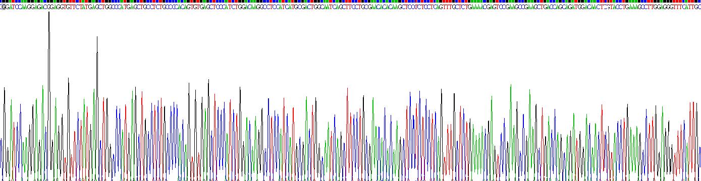 Recombinant Hypoxia Inducible Factor 2 Alpha (HIF2a)