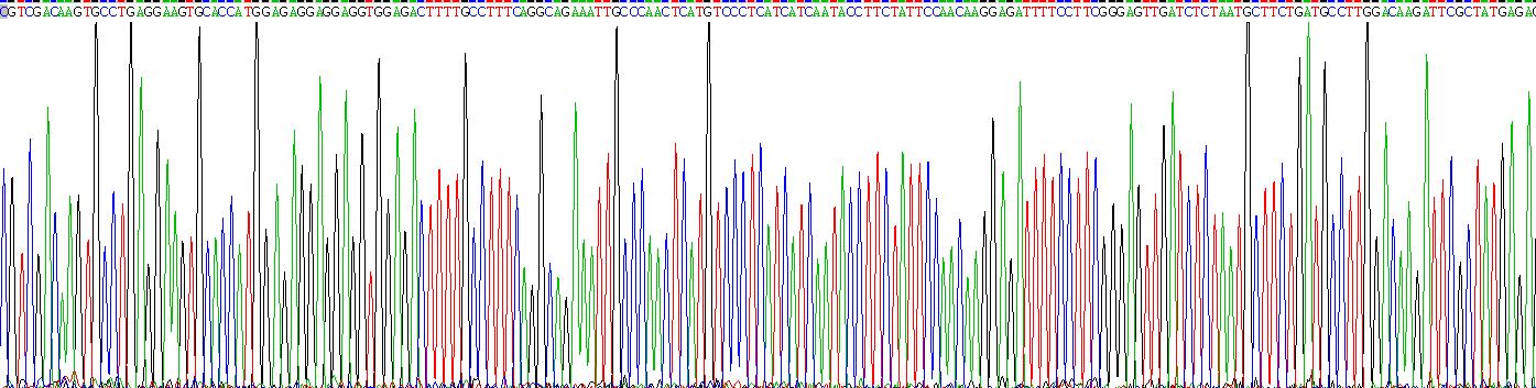 Recombinant Heat Shock Protein 90kDa Alpha B1 (HSP90aB1)