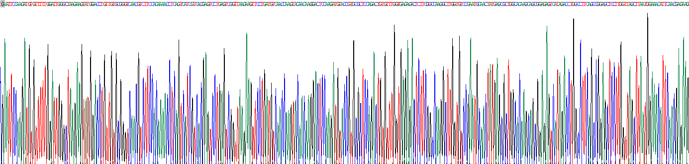 Recombinant Cytochrome P450 46A1 (CYP46A1)