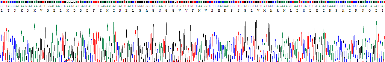 Recombinant Mitogen Activated Protein Kinase Kinase 1 (MAP2K1)