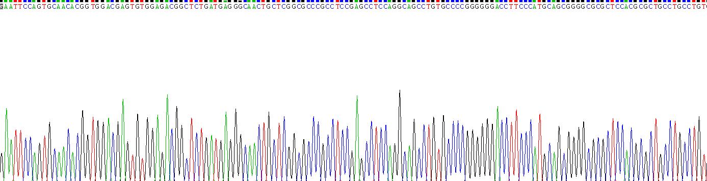 Recombinant Low Density Lipoprotein Receptor Related Protein 3 (LRP3)