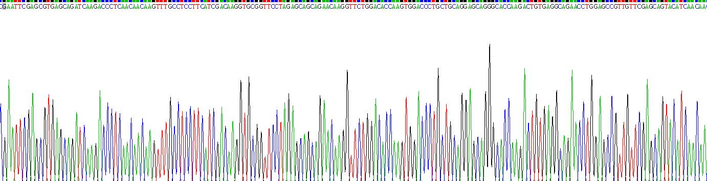 Recombinant Keratin 6C (KRT6C)