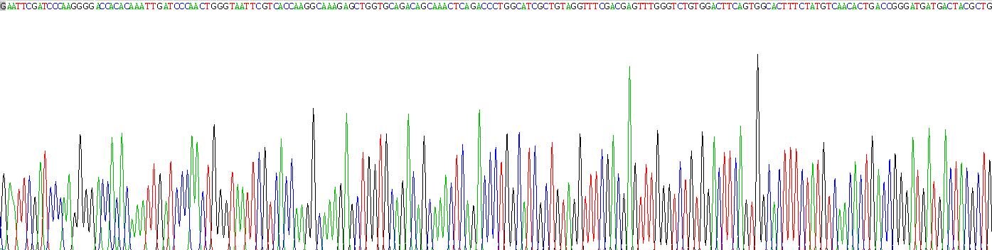 Recombinant Thrombospondin 2 (THBS2)