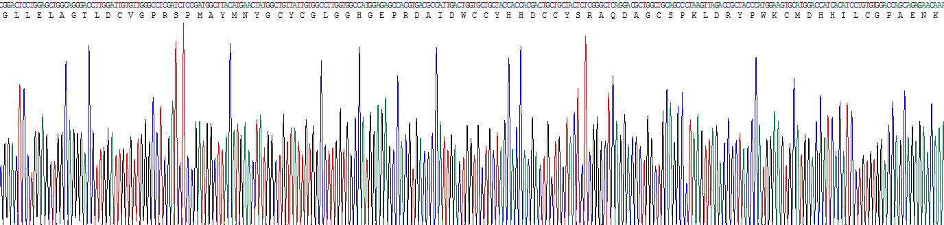 Recombinant Phospholipase A2, Group X (PLA2G10)