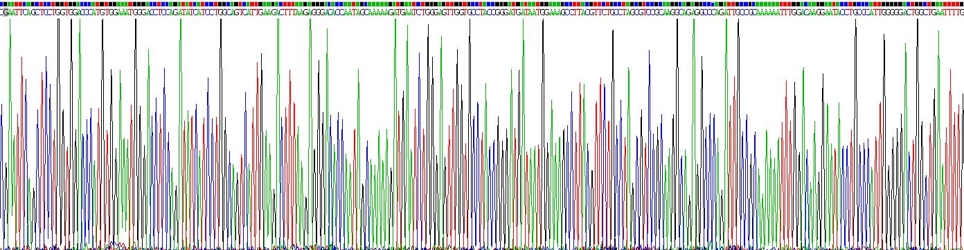 Recombinant Aspartate Aminotransferase 2 (AST2)